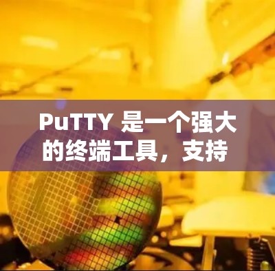 PuTTY 是一个强大的终端工具，支持 SSH 和 Telnet 协议，主要用于在 Windows 环境中连接远程服务器。以下是对 PuTTY 的详细介绍和使用步骤