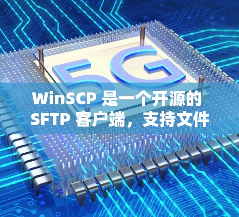 WinSCP 是一个开源的 SFTP 客户端，支持文件传输和管理。以下是使用 WinSCP 进行文件传输的基本步骤和技巧