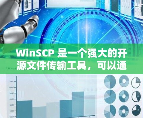 WinSCP 是一个强大的开源文件传输工具，可以通过 SSH 协议连接到服务器。以下是使用 WinSCP 配置 SSH 连接的步骤