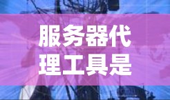 服务器代理工具是一个强大的资源，能够帮助优化和管理服务器性能，减少负载和提高安全性。以下是关于服务器代理工具的详细总结