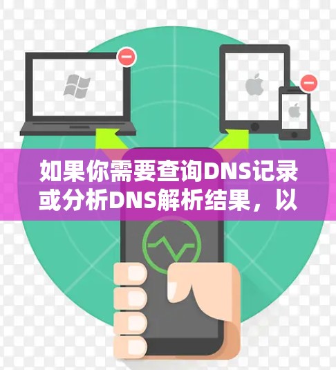 如果你需要查询DNS记录或分析DNS解析结果，以下是一些常用的DNS查询工具和软件，供你参考