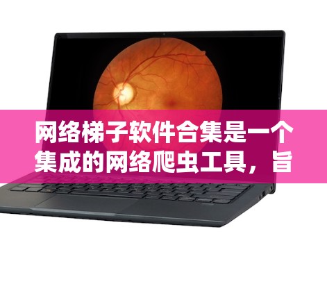 网络梯子软件合集是一个集成的网络爬虫工具，旨在帮助用户轻松抓取网页信息和数据。以下是对网络梯子软件合集的详细分析和总结