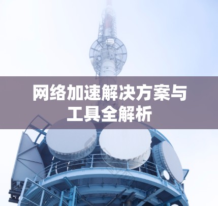 网络加速解决方案与工具全解析