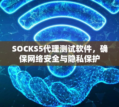 SOCKS5代理测试软件，确保网络安全与隐私保护