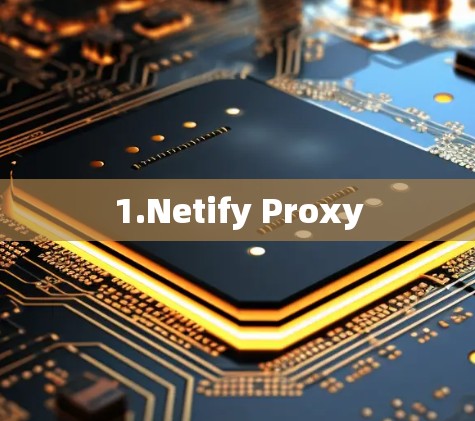 1.Netify Proxy