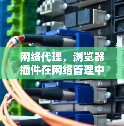 网络代理，浏览器插件在网络管理中的应用与优化