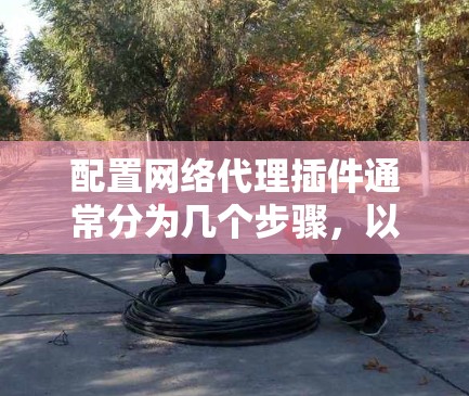 配置网络代理插件通常分为几个步骤，以下是详细的指南