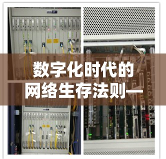 数字化时代的网络生存法则—浏览器代理插件推荐