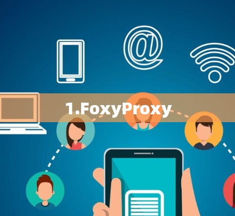 1.FoxyProxy
