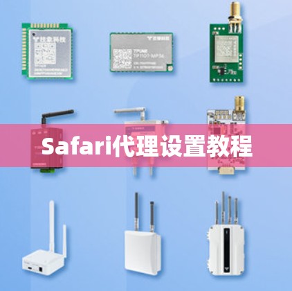 Safari代理设置教程