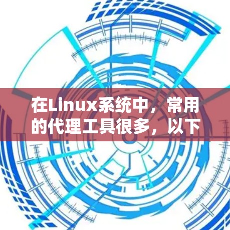 在Linux系统中，常用的代理工具很多，以下是一些常用的代理工具及其简要说明
