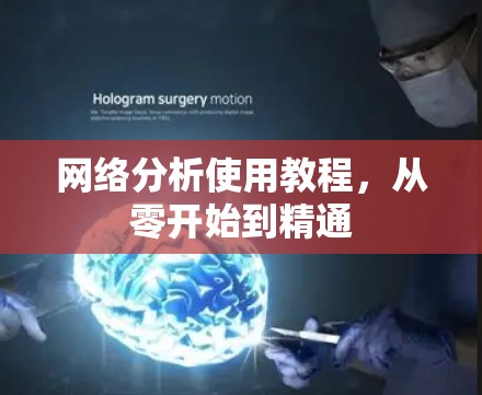 网络分析使用教程，从零开始到精通