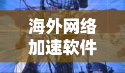 海外网络加速软件解决方案