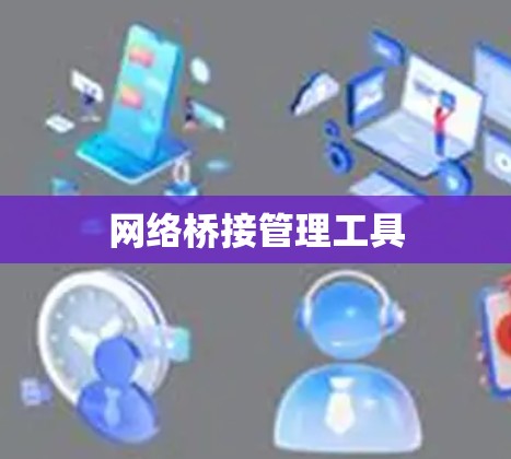 网络桥接管理工具