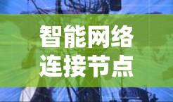 智能网络连接节点管理，从基础到创新
