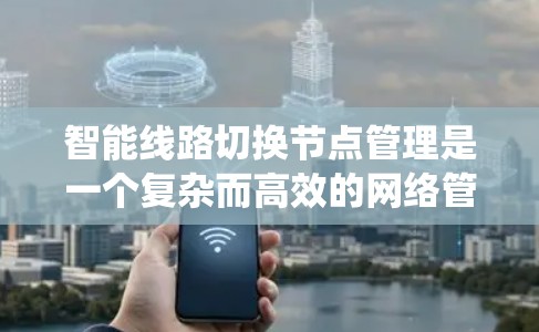 智能线路切换节点管理是一个复杂而高效的网络管理系统，旨在通过智能化的方式优化网络性能，确保连续稳定的服务。以下是对该系统的详细分步解释