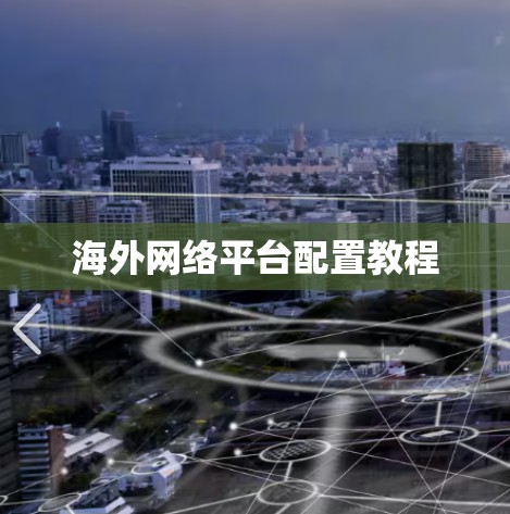 海外网络平台配置教程