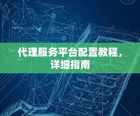 代理服务平台配置教程，详细指南