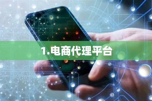 1.电商代理平台