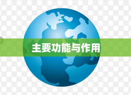 主要功能与作用