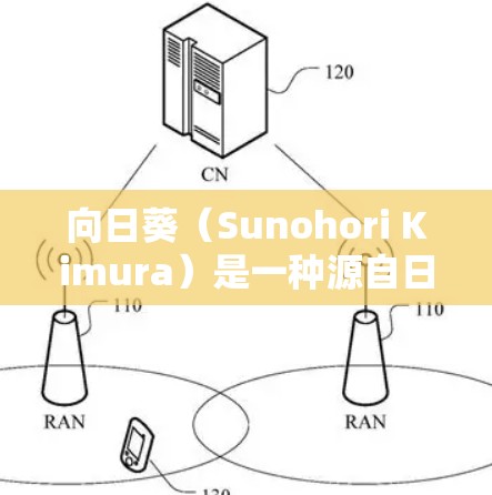 向日葵（Sunohori Kimura）是一种源自日本的萌系动漫风格，以其清新、可爱的画风和角色设计而闻名。以下是一些常用的工具和资源，适合用于创作和编辑向日葵风格的内容