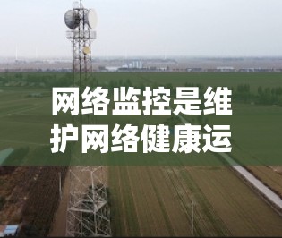 网络监控是维护网络健康运行的重要工具，通过实时监控和分析网络状态，可以有效解决问题，提升性能和安全性。以下是网络监控的分步指南
