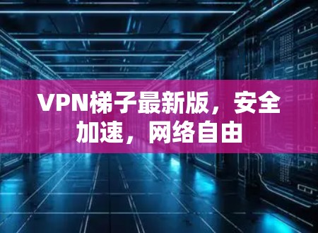 VPN梯子最新版，安全加速，网络自由