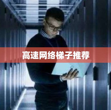 高速网络梯子推荐
