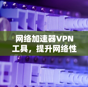网络加速器VPN工具，提升网络性能的高效解决方案