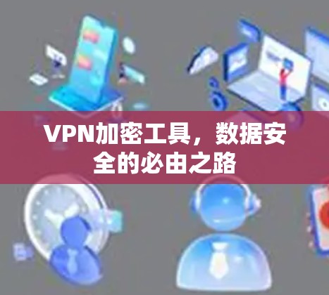 VPN加密工具，数据安全的必由之路