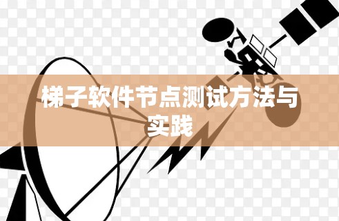 梯子软件节点测试方法与实践