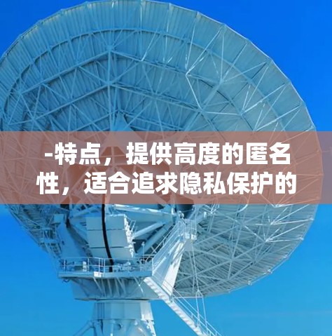 -特点，提供高度的匿名性，适合追求隐私保护的用户
