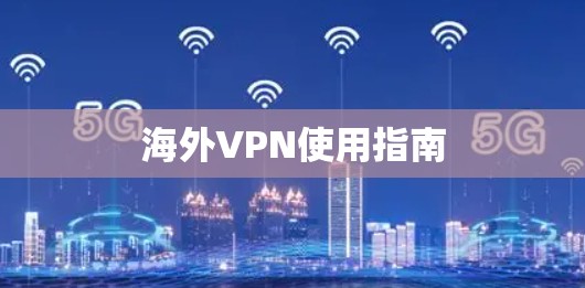 海外VPN使用指南
