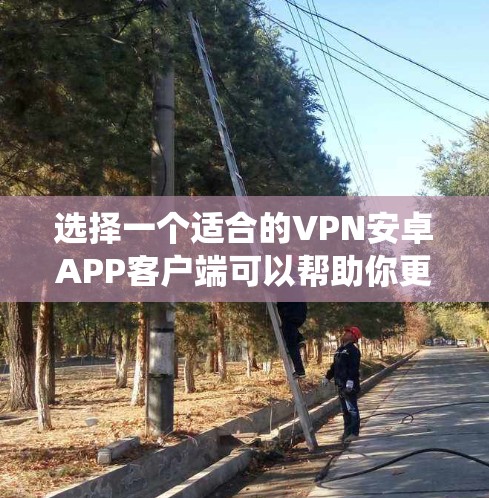 选择一个适合的VPN安卓APP客户端可以帮助你更安全地访问互联网，保护隐私，绕过网络限制。以下是推荐几款适合安卓用户的VPN服务