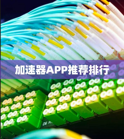 加速器APP推荐排行