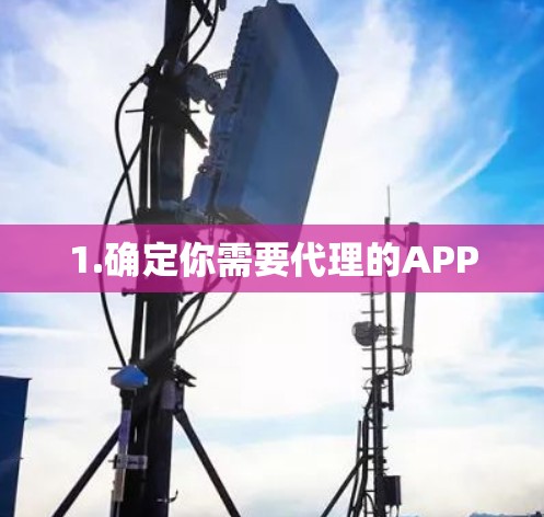 1.确定你需要代理的APP