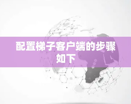 配置梯子客户端的步骤如下