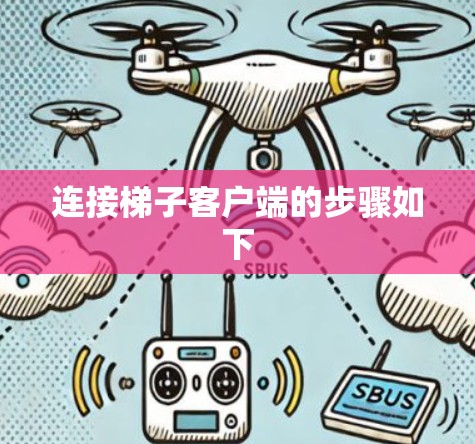 连接梯子客户端的步骤如下