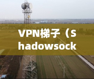 VPN梯子（Shadowsocks）是一种常用的网络代理工具，能够帮助用户绕过网络限制，访问被屏蔽的网站。如果你想配置VPN梯子来访问互联网或保护隐私，以下是一个基本的配置教程