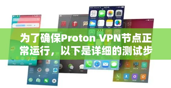 为了确保Proton VPN节点正常运行，以下是详细的测试步骤和结果分析
