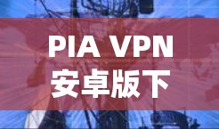 PIA VPN安卓版下载指南及使用说明