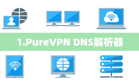 1.PureVPN DNS解析器