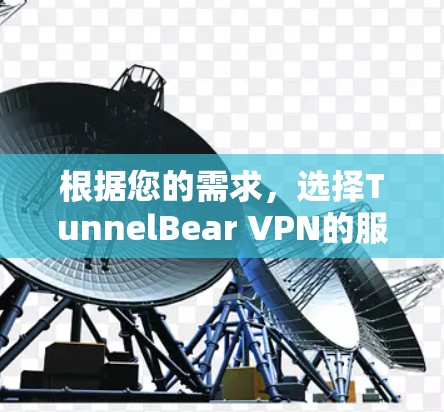 根据您的需求，选择TunnelBear VPN的服务器可以从以下几个方面进行分析和决定