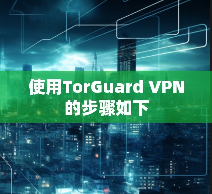 使用TorGuard VPN的步骤如下