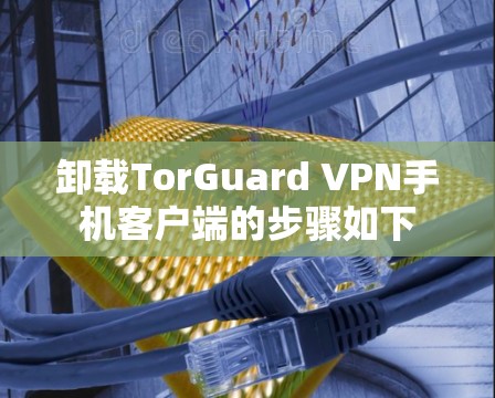卸载TorGuard VPN手机客户端的步骤如下