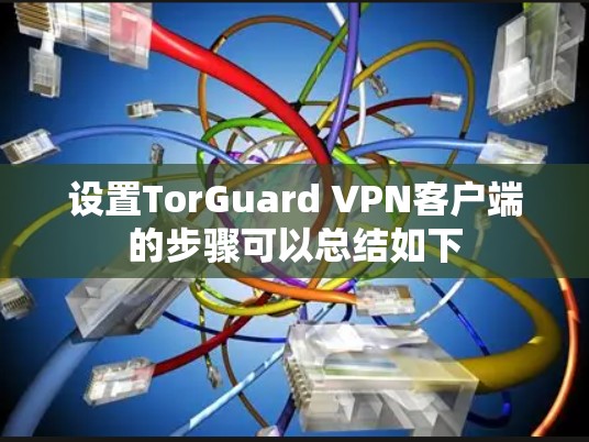设置TorGuard VPN客户端的步骤可以总结如下