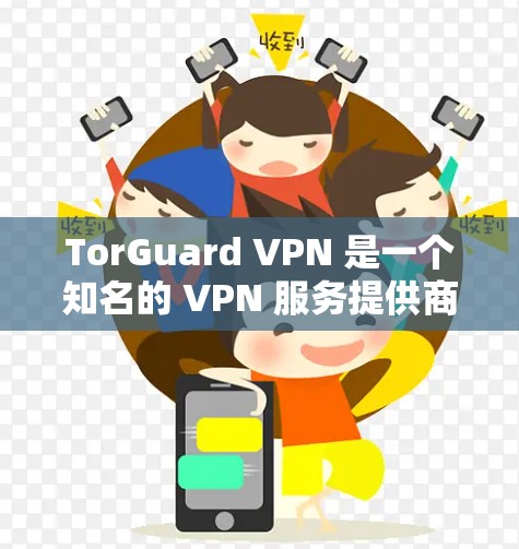 TorGuard VPN 是一个知名的 VPN 服务提供商，旨在为用户提供安全、隐私保护和网络自由访问的解决方案。以下是关于 TorGuard VPN 的一些主要信息和功能