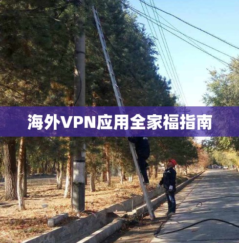 海外VPN应用全家福指南