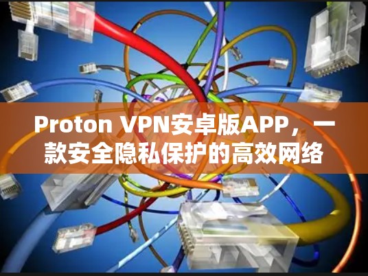 Proton VPN安卓版APP，一款安全隐私保护的高效网络连接工具