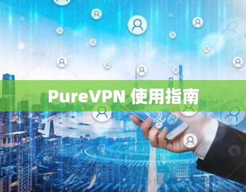 PureVPN 使用指南